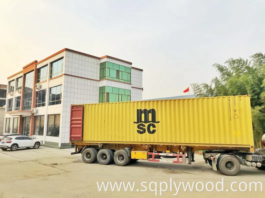 9/12/18mm Melamine Film Faced Poplar Pine Birch Marine Laminated Veneer Shuttering Plywood